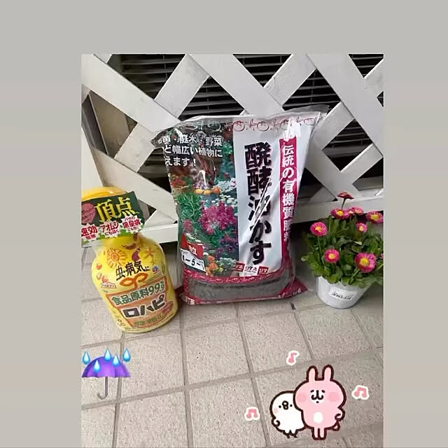 YuuKoさんの実例写真