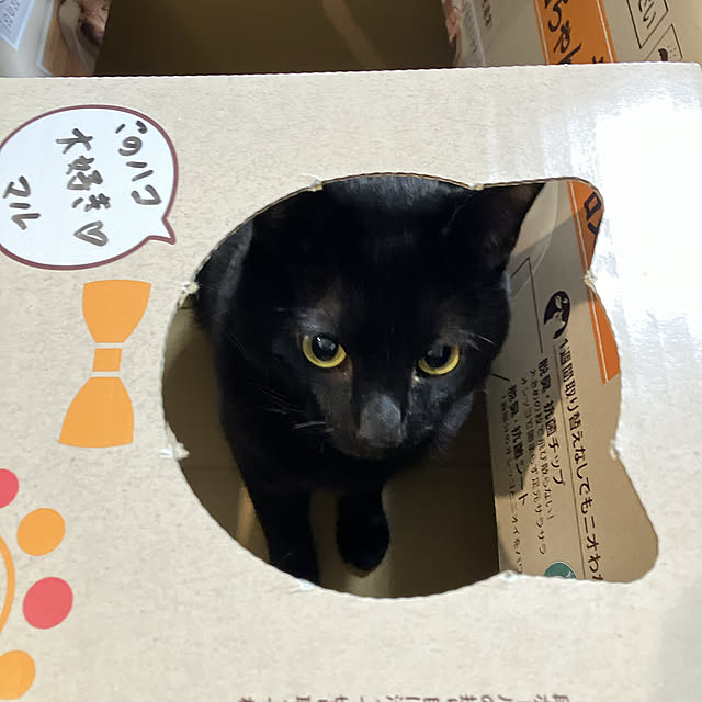 nekomiさんの部屋