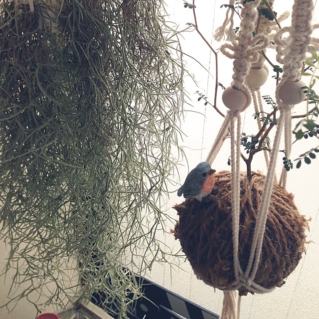 onokenkoさんの実例写真