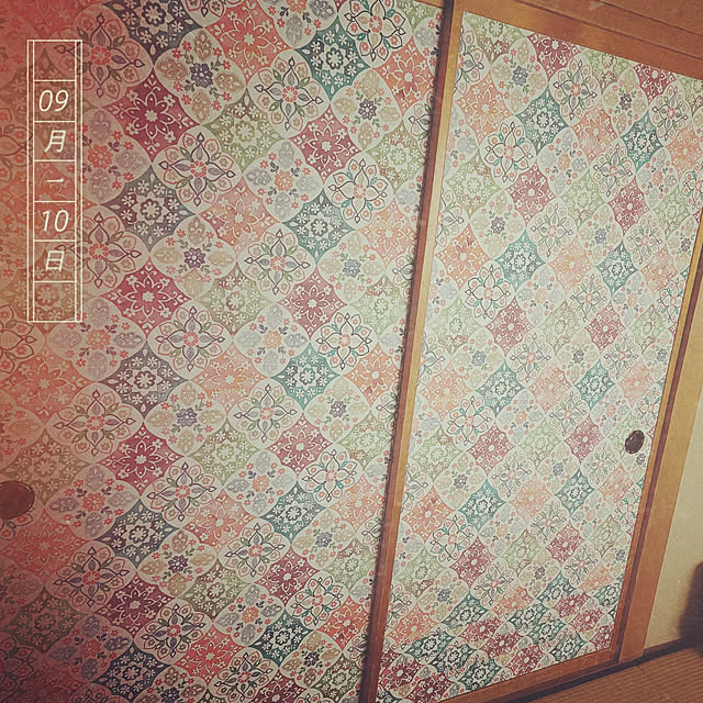 airuhinaさんの実例写真