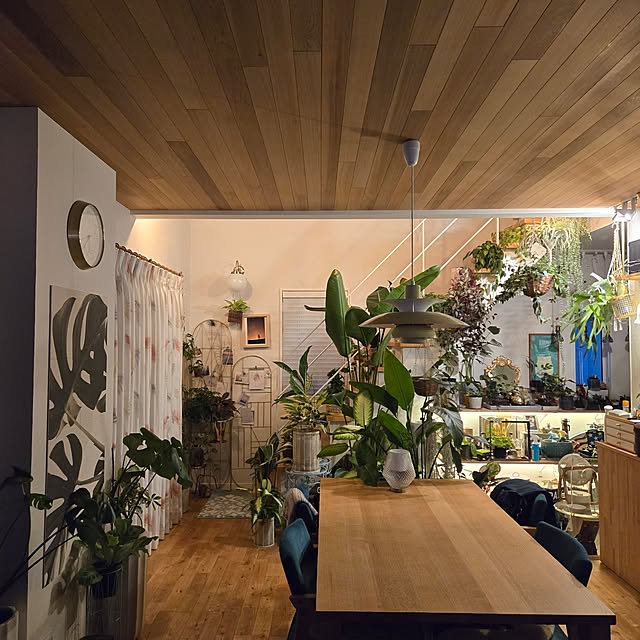 nonbiri_house_さんの部屋
