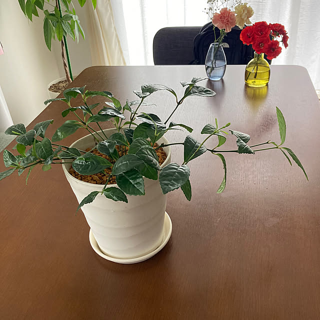 mamaさんの実例写真