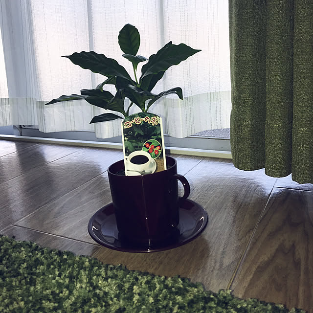 maky6さんの実例写真