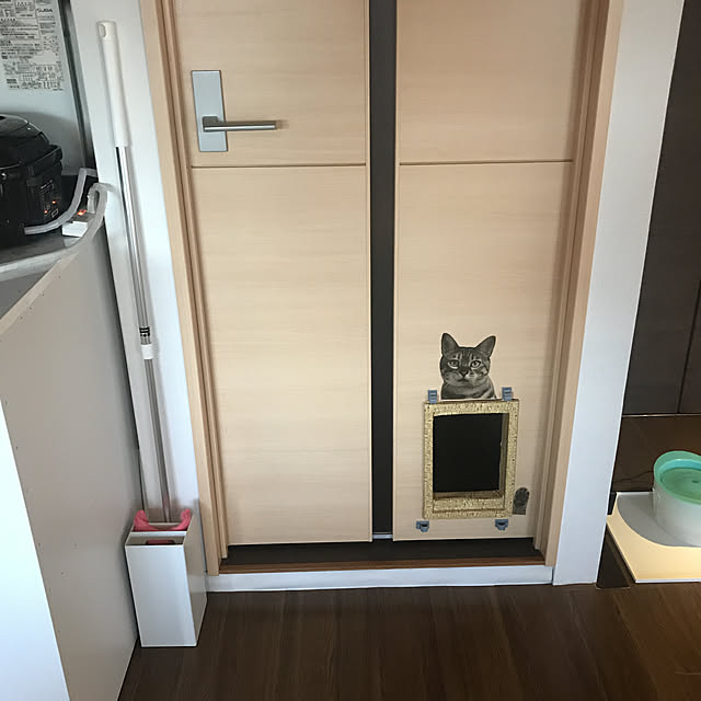 momoさんの実例写真
