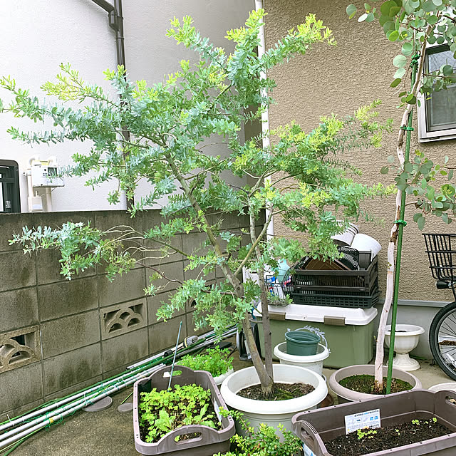 eshinobumさんの部屋