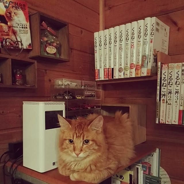 Maki-nekomamireさんの実例写真