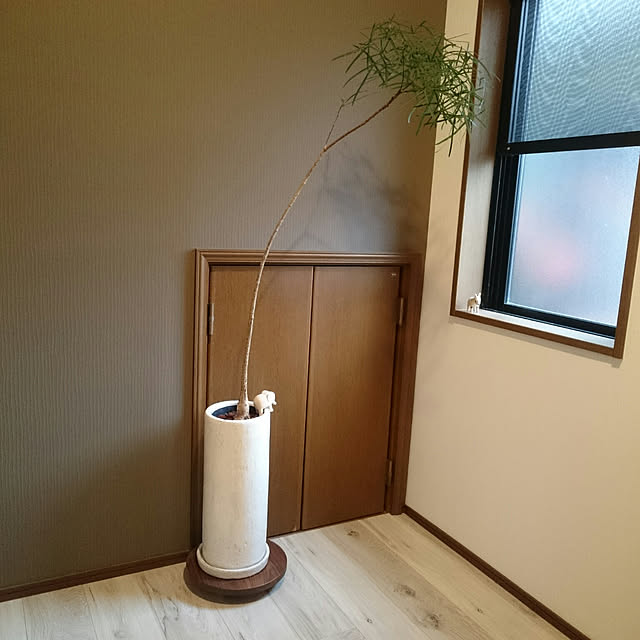 flowersさんの実例写真