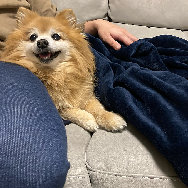 yuperoさんの実例写真