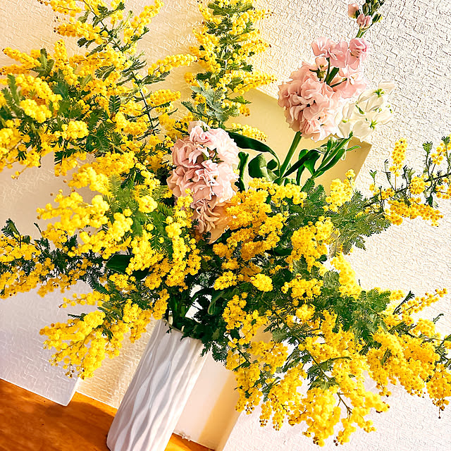 simaocchiさんの実例写真