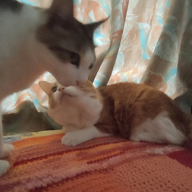 mori_6_12さんの部屋