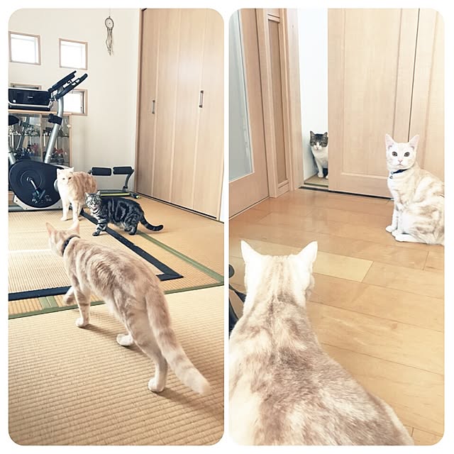 hiyupan88さんの実例写真