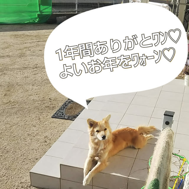 kaoriさんの実例写真
