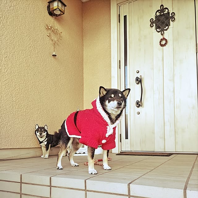 tsutawarimasuさんの実例写真