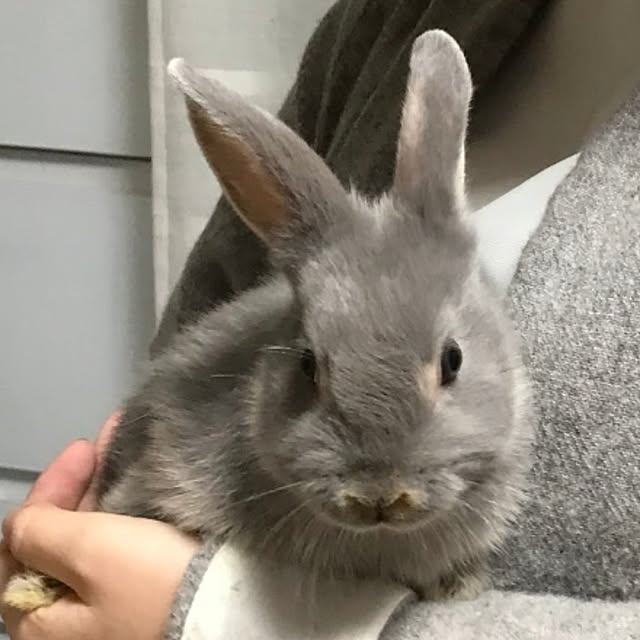 mori_6_12さんの実例写真