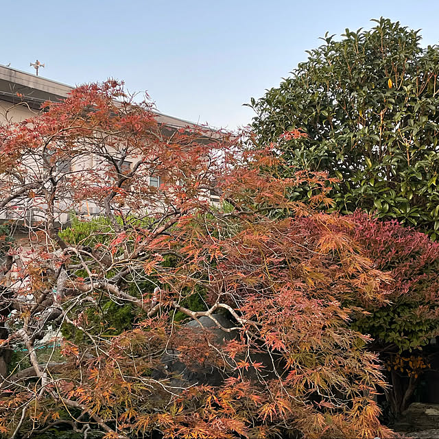 shin0719さんの実例写真