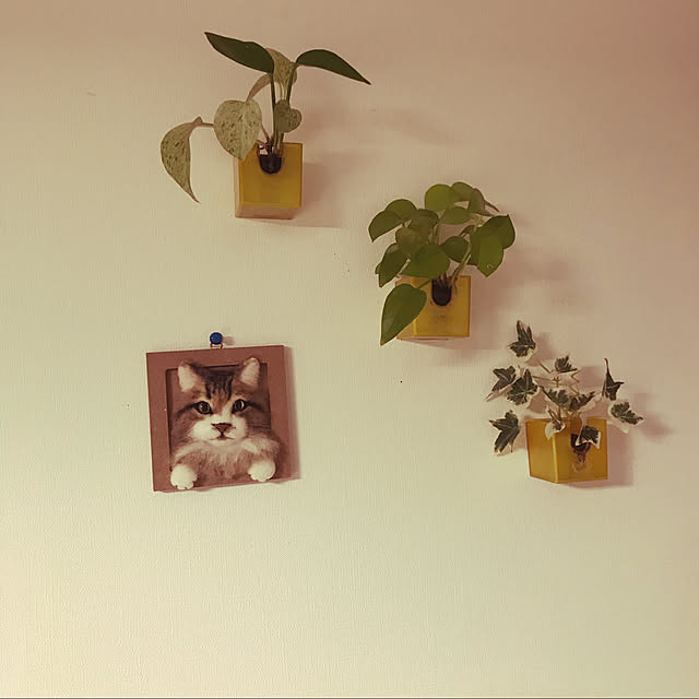 観葉植物/北欧/カフェ風/壁/天井のインテリア実例 - 2020-04-06 14:12:25