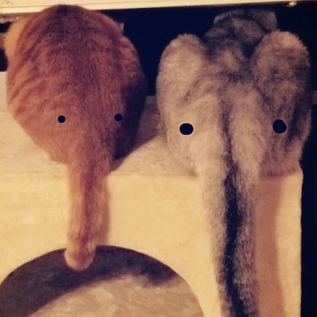tamacharouさんの実例写真