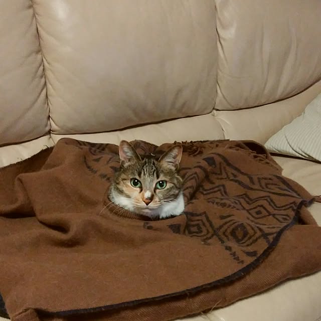 tomo1220さんの実例写真
