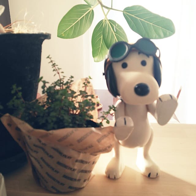loveさんの実例写真