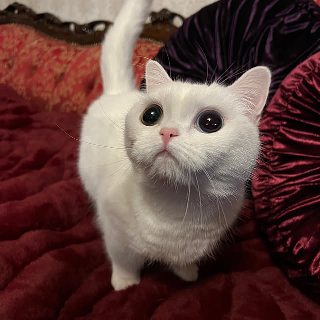 AYUKOさんの部屋