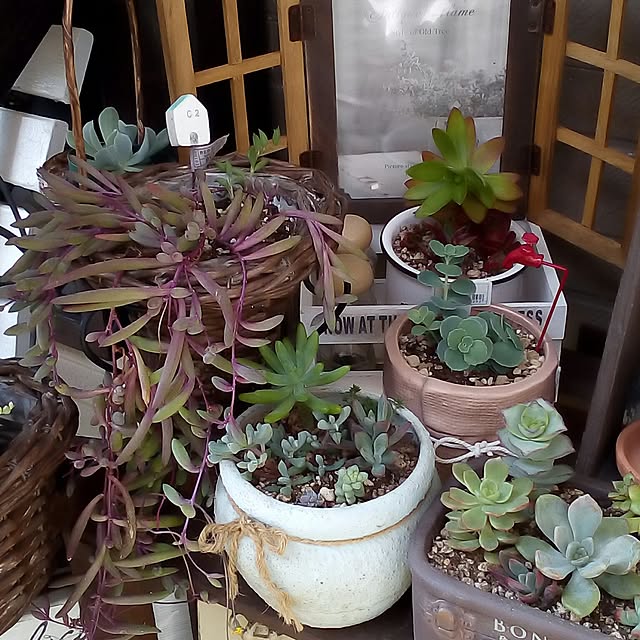 mariagardenさんの実例写真