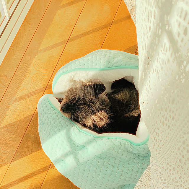 minimonさんの部屋