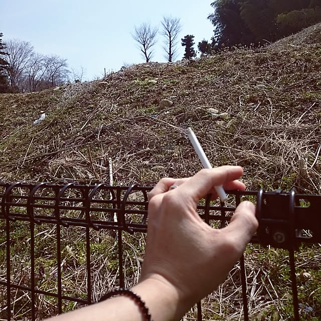 実例写真