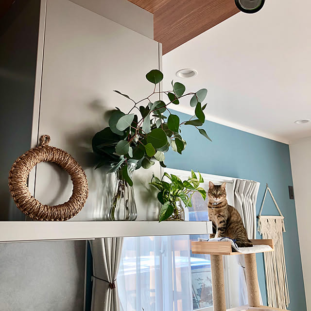 you-aaa.eさんの実例写真