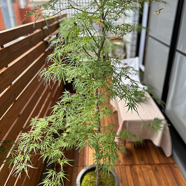 GakuDaiさんの部屋