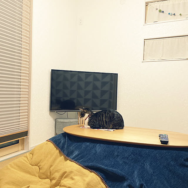 ippu0303Karinさんの実例写真