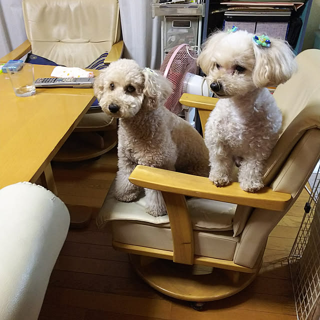 yumirinさんの実例写真
