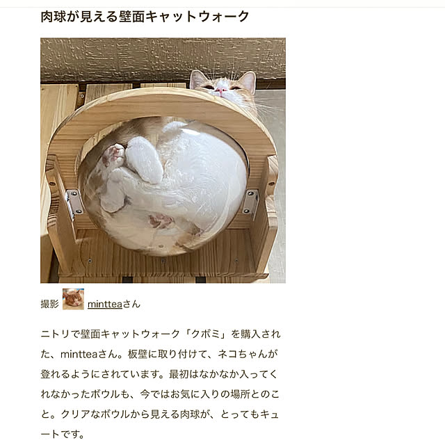 mintteaさんの部屋