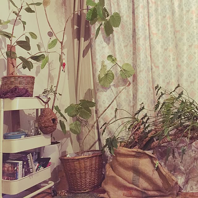 JUNJUNさんの実例写真