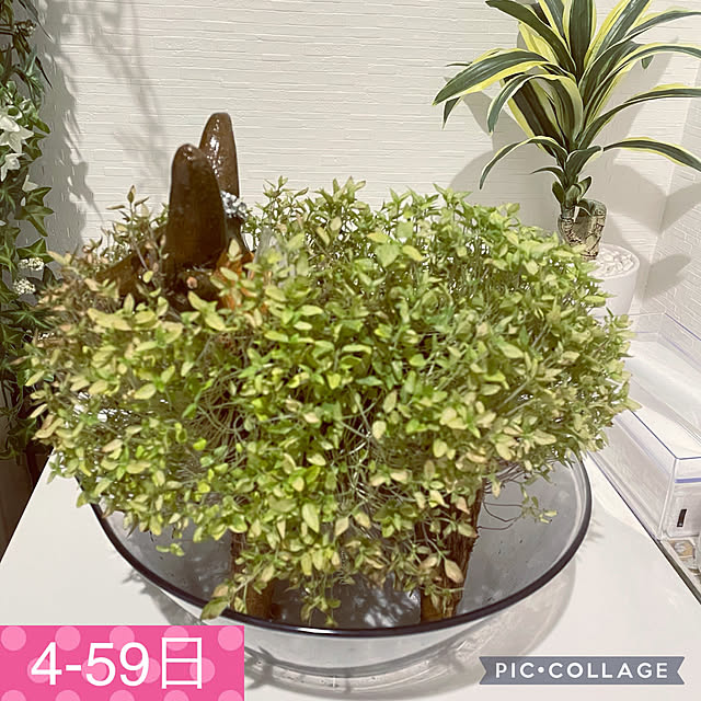 aureaさんの実例写真