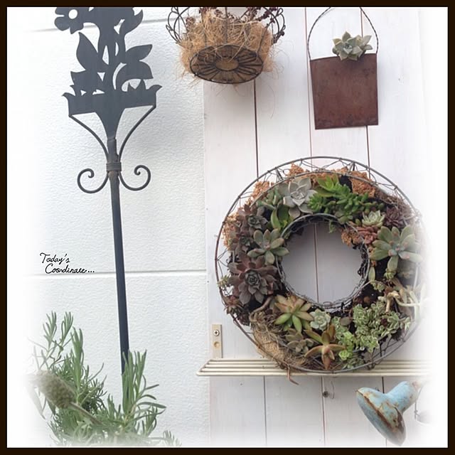 tomoさんの実例写真