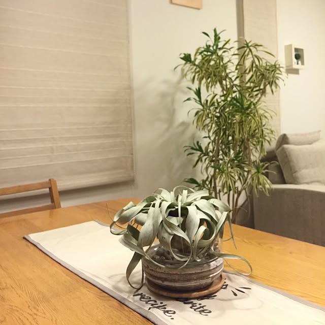 UNI.mamaさんの実例写真