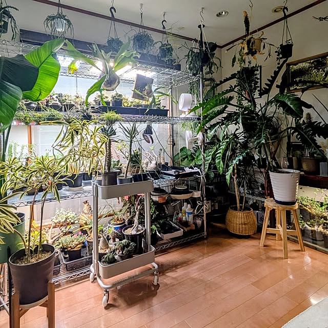 ot-gardenさんの実例写真