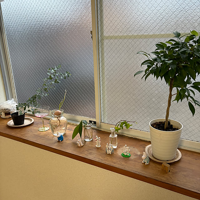 pandasさんの実例写真