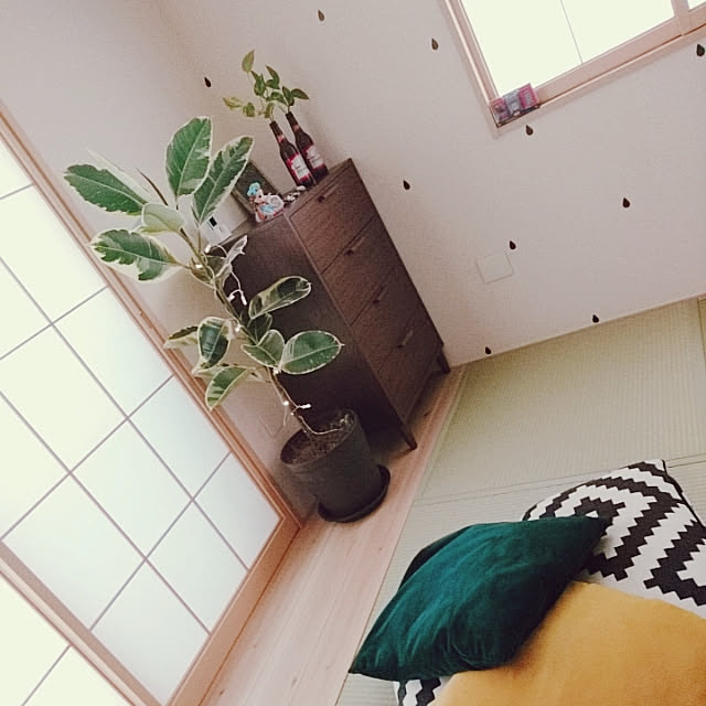 mikoさんの実例写真