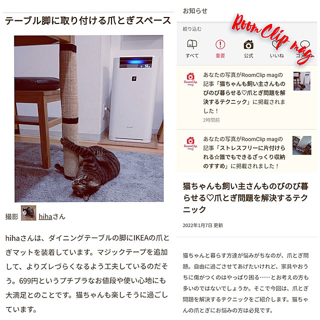 hihaさんの実例写真