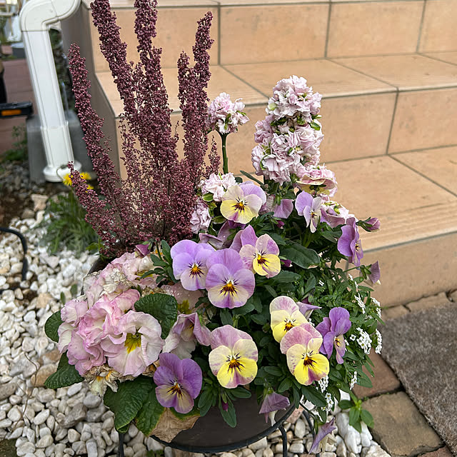 MeineLieblingssachenさんの実例写真