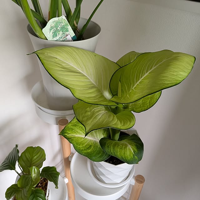 kolo92さんの部屋