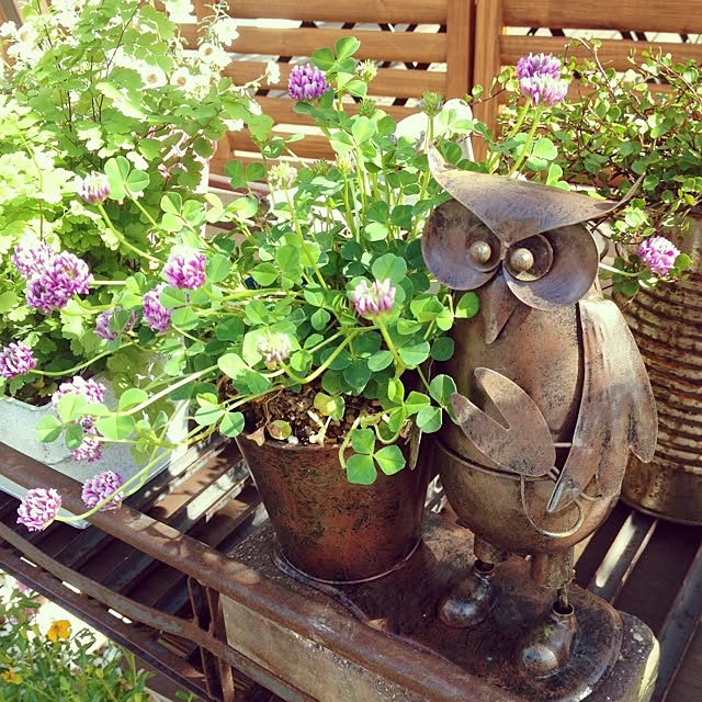 honomino73さんの実例写真