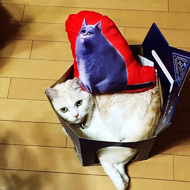 Watanabejunpilさんの実例写真