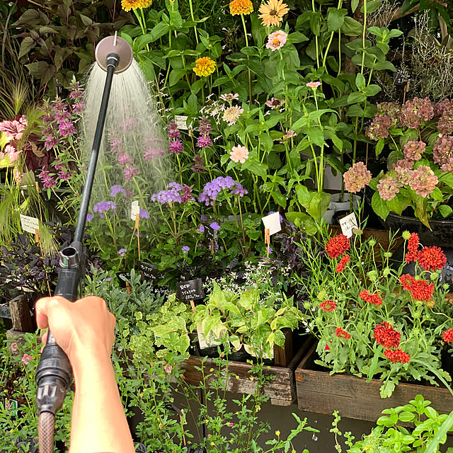 Royal_Gardeners_Clubさんの部屋