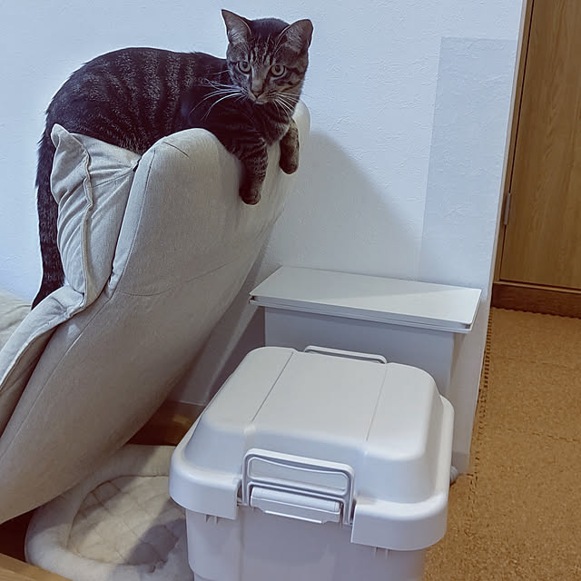 hihaさんの実例写真