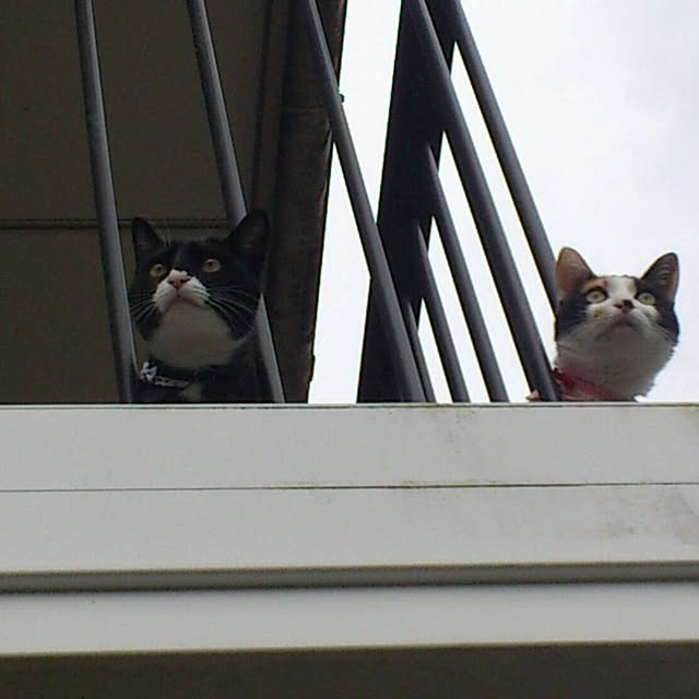 mtkさんの実例写真