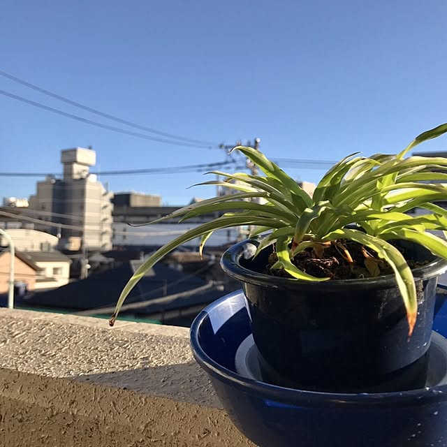yuさんの実例写真