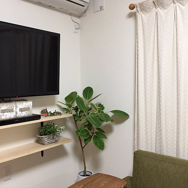 nskさんの実例写真