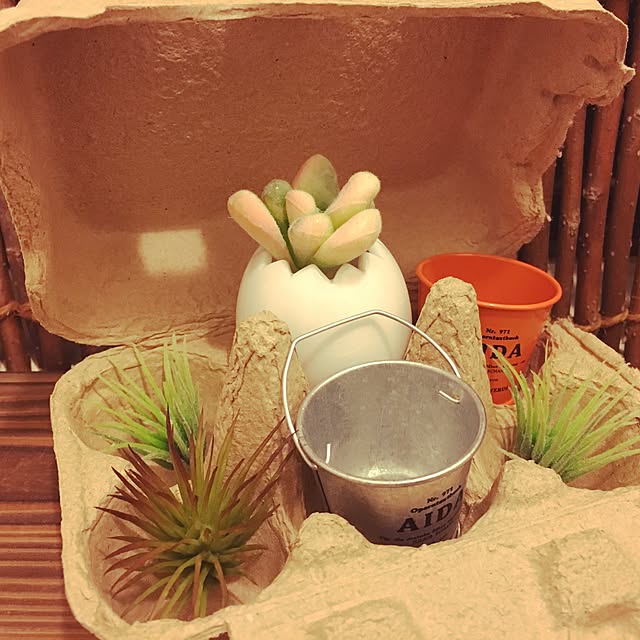 Aiaiさんの実例写真